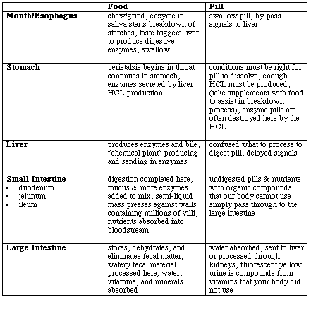 Digestive Enzymes Chart